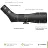 Leupold SX-2 Alpine HD Gen 2 Angled Spotting Scope for Outdoor Enthusiasts, 20-60x80