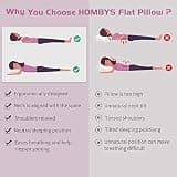 Hombys Ultra Thin Flat 2.5-Inch 3D Microfiber Machine Washable Pillow