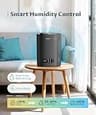 BREEZOME 6L Top Fill Cool Mist Humidifier with Built-In Essential Oil Diffuser