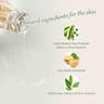 Ronas Stem Cell Solution Professional Anti-Aging Treatment Ampoules, 10 Glass Vials