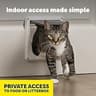 PetSafe Manual Interior Cat Door with 4-Way Locking for Hollow Wood Doors