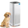 InvisiClean Bella Smart WiFi H13 True HEPA Air Purifier for 1,500 Sq. Ft.