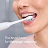 Philips Sonicare C2 Plaque Control Genuine Replacement Electric Toothbrush Heads