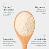 Just Food for Dogs Human-Grade Nutrient Blend for Chicken & Rice Homemade Recipes