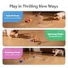 Cheerble Wicked Ball Rolly Smart Toy with Dual Tugging Ropes for Indoor Play