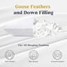 Puredown Goose Feathers and Down Hotel Collection Pillows - Standard
