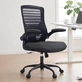 QLTPLUS Ergonomic Office Desk Chair with Molded Foam and Lumbar Support