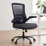 QLTPLUS Ergonomic Office Desk Chair with Molded Foam and Lumbar Support