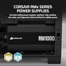 CORSAIR RM1000x 1000W 80 Plus Gold ATX 3.1 Fully Modular Power Supply