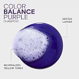 Joico Color Balance Purple Shampoo with SmartRelease Technology, 10.1 Fl Oz