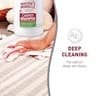 Nature’s Miracle Bio-Enzymatic Deep-Cleaning Pet Stain Carpet Shampoo Solution