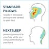 NextSleep The Best Back Sleeper Training Pillow with Anti-Wrinkle Satin Cover