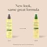 Aveeno Daily Moisturizing Body Oil Mist with Oat & Jojoba Oil for Dry Sensitive Skin