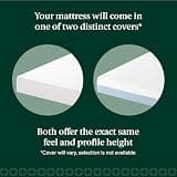Zinus 6-Inch Cooling Essential Memory Foam Twin Mattress, Fiberglass-Free