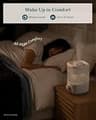 Levoit 2.5-Liter Top-Fill Cool Mist Humidifier with Quiet Auto Shut-Off