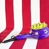 Bed Head Curls-in-Check 1875W Dedicated Hair Diffuser Dryer for Curly Hair
