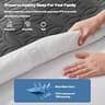 BEDLORE Soft Microfiber 100% Waterproof Queen Size Mattress Protector