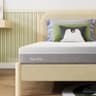 Novilla Bliss 6-Inch Medium-Firm Gel Memory Foam Twin Mattress in a Box