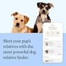 Wisdom Panel Premium Dog DNA Kit - Extensive 265+ Health Test & Diversity Screening