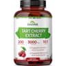 Zazzee Montmorency Tart Cherry 10:1 Extract 200 Vegan Capsule Supplement