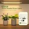 GENTINGBRO 62.2-Inch 12-Tier High-Capacity Indoor Plant Rack with Grow Lights