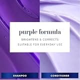 Hair Biology Biotin-Infused Purple Shampoo and Conditioner Set for Silver Hair