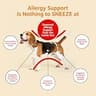 Zesty Paws Allergy Immune Bites, Peanut Butter Dog Probiotic Supplement, 90 Ct