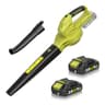 SEYVUM 20V Cordless Leaf Blower with Dual 2.0Ah Batteries and Copper Motor