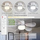 ASALL 16.54-Inch Socket Fan Light with Stepless Dimming and Sleep Timer
