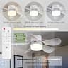 ASALL 16.54-Inch Socket Fan Light with Stepless Dimming and Sleep Timer