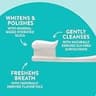 Native Whitening Fluoride-Free Toothpaste, Wild Mint & Peppermint, 4.1 oz (3-Pack)