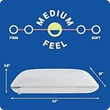 Sealy Dreamlife Solid Memory Foam King Pillow With SealyChill Gel Layer