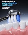 Onlyone Ultrasonic Electric Toothbrush with 48,000 VPM Motor and 8 Heads