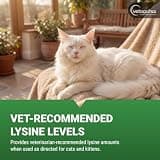 Vetoquinol Viralys L-Lysine Oral Powder Supplement for Immune Health, 100g