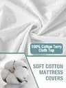 Bedecor Affordable Cotton Terry Waterproof Queen Size Mattress Protector