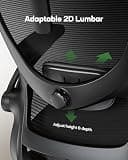 Marsail Ergonomic Office Chair with 3D Armrests and Micro-Adjust Lumbar