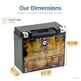 Pirate Battery YTX20HL-BS Maintenance-Free 12V 19Ah AGM Marine Battery