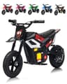 GarveeLife 24V 350W Electric Mini Dirt Bike with 12-Inch Fat Pneumatic Tires