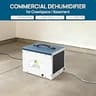 ARGENDON Shield 35P Compact 70 Pint Crawl Space Dehumidifier with Pump