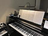 Cocoweb 22-Inch LED Grand Piano Light with Dimmable Illumination and Brass Accents