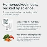 Native Pet Real Beef Bone Broth Nutritional Topper for Picky Dog Eaters