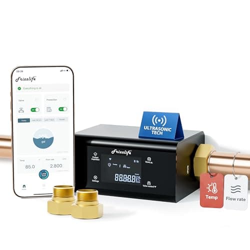 Frizzlife LP365 Ultrasonic Whole-Home Smart Water Monitor with Automatic Shutoff