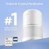 LEVOIT Core 300-P True HEPA Air Purifier with Customizable Specialty Filters