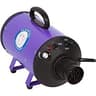 Flying Pig High Velocity Professional Dog Grooming Blower with Heater
