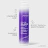Joico Color Balance Purple Shampoo with SmartRelease Technology, 10.1 Fl Oz