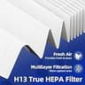 12-Piece True HEPA R and Carbon Pre-Filter Kit for Honeywell HPA200 Series
