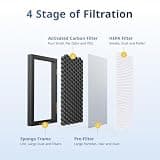 H13 True HEPA PM2.5 Activated Carbon Cabin Air Filter 2-Pack for Model 3
