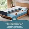 Sleepmax 14-Inch Deluxe Euro-Top Medium-Feel Hybrid Spring Mattress, Queen