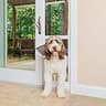PetSafe Heavy-Duty Sliding Glass Pet Door Insert with Adjustable Height, XL