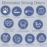 R86 Industrial All-Out Natural Odor Eliminator Powder for Versatile Applications